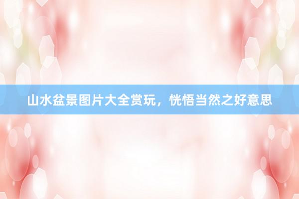 山水盆景图片大全赏玩，恍悟当然之好意思